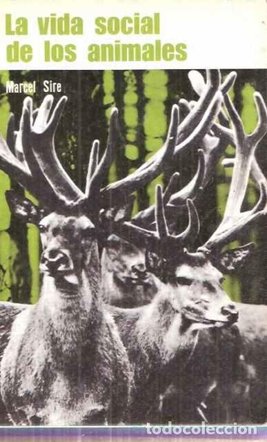 Libros: La vida social de los animales - Sire, Marcel - Foto 1