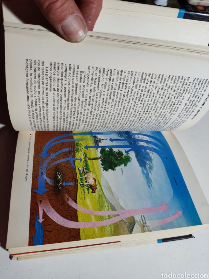 Libros: Libro gu&iacute;a del cuerpo humano, Laura Conti - Foto 5