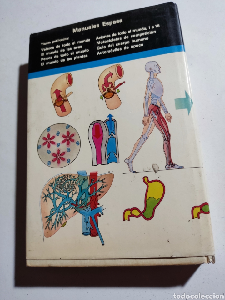 Libros: Libro gu&iacute;a del cuerpo humano, Laura Conti - Foto 9