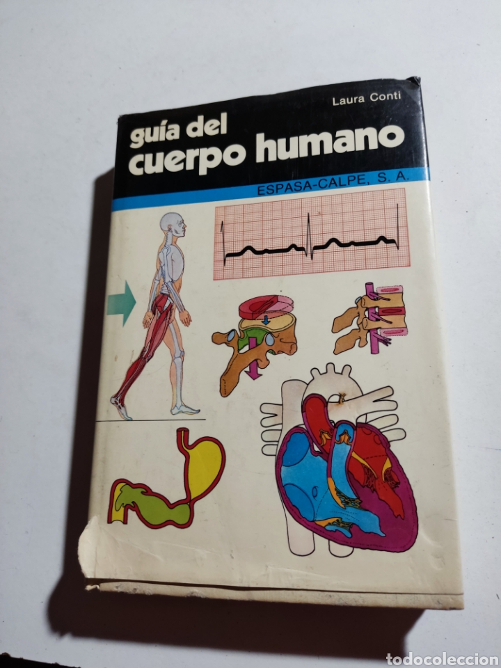Libros: Libro gu&iacute;a del cuerpo humano, Laura Conti - Foto 1