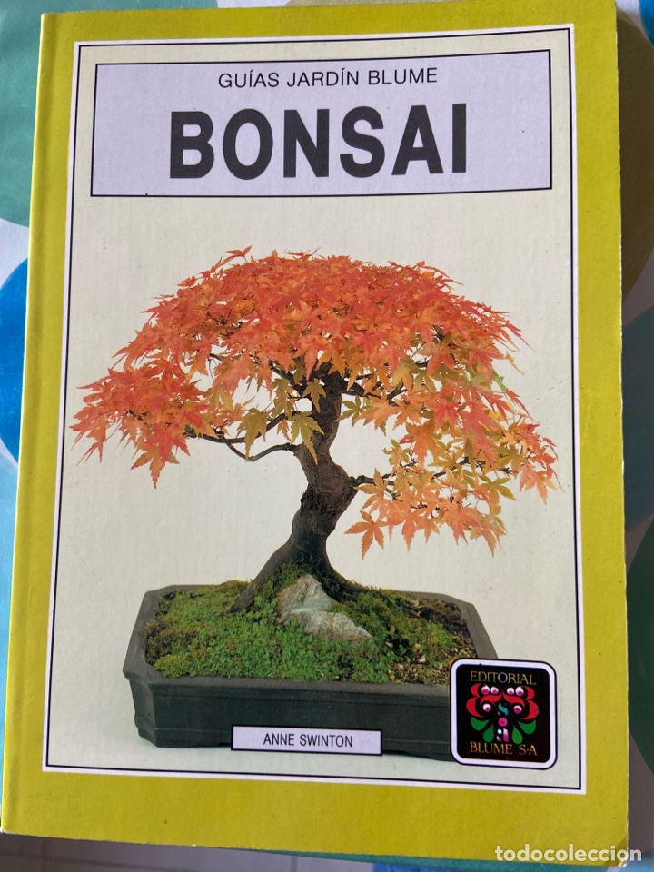 Libros: Bonsai - Anne Swinton - Foto 1