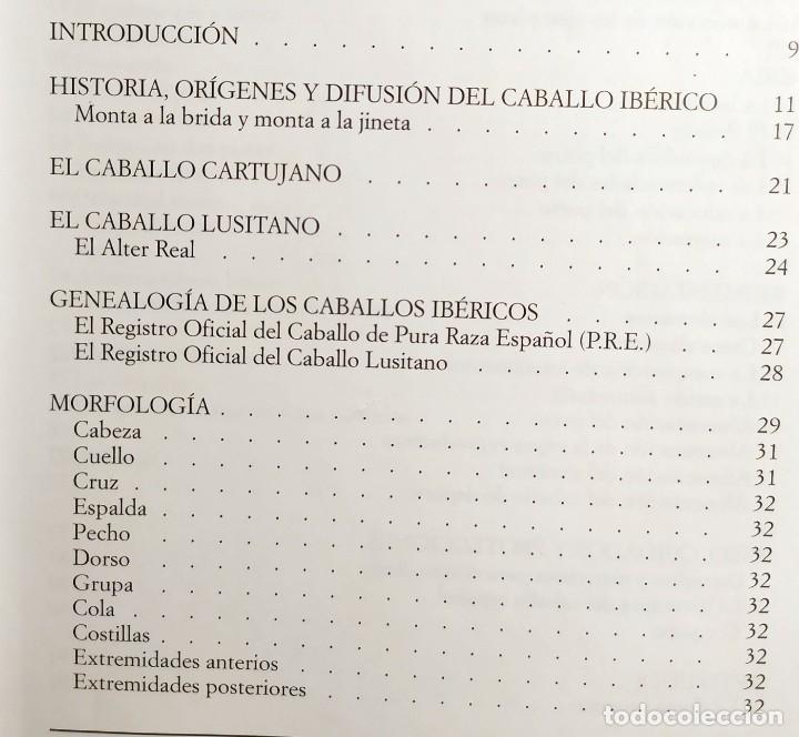 Libros: El libro de los caballos ibericos Vincenzo de Maria Editorial Vecchi - Foto 3