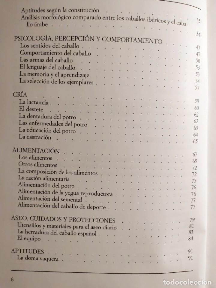 Libros: El libro de los caballos ibericos Vincenzo de Maria Editorial Vecchi - Foto 4