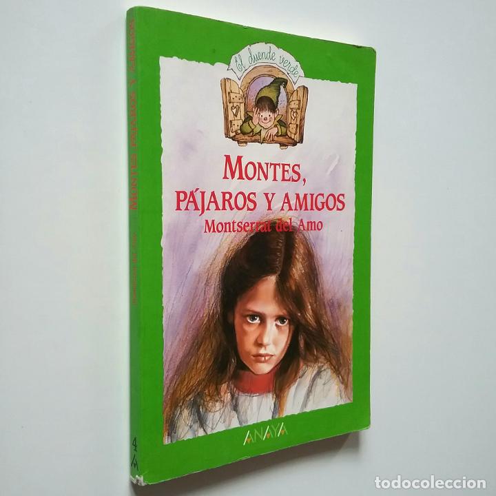 Libros: Montserrat del Amo - Montes, p&aacute;jaros y amigos - Foto 1