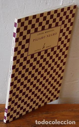 Libros: P&Aacute;JARO NEGRO - &Aacute;NGEL MENDOZA - Foto 1