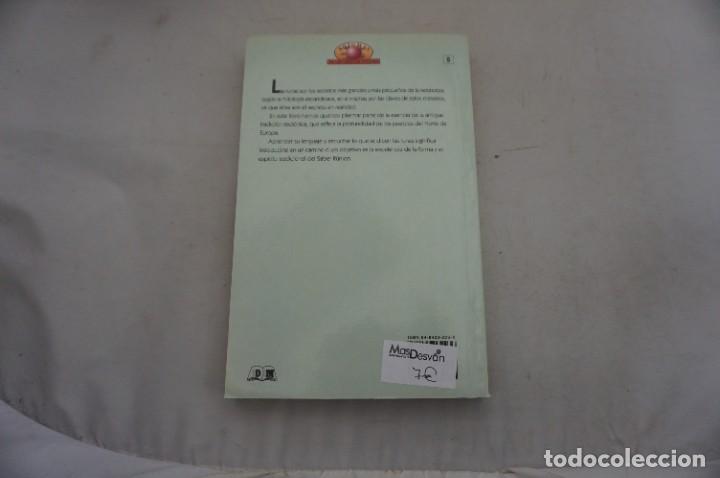 Libros: AR1/ EL ENIGMA DE LA MAGIA RUNICA - MARY MOORE / DM EDITOR - Foto 6