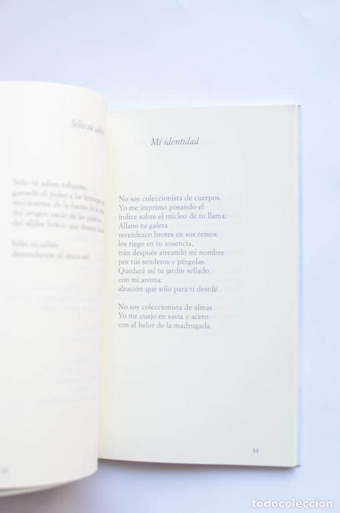 Libros: A ras del mar - L&Oacute;PEZ, Milagros - Foto 3