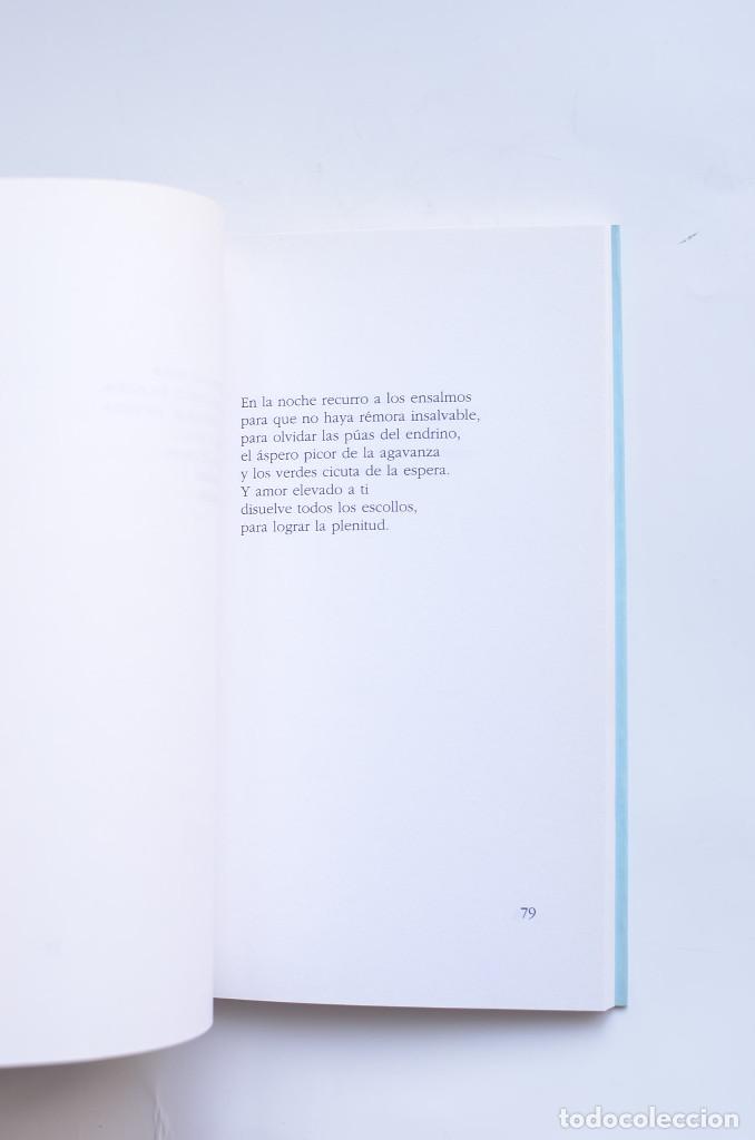Libros: La estrella del an&iacute;s - PISONERO, Encarnaci&oacute;n - Foto 3