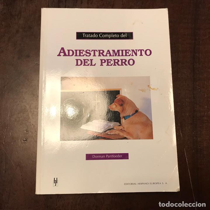 Libros: Adiestramiento del perro - Dorman Pantfoeder - Foto 1