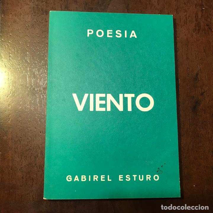 Libros: Viento - Gabriel Esturo - Foto 1