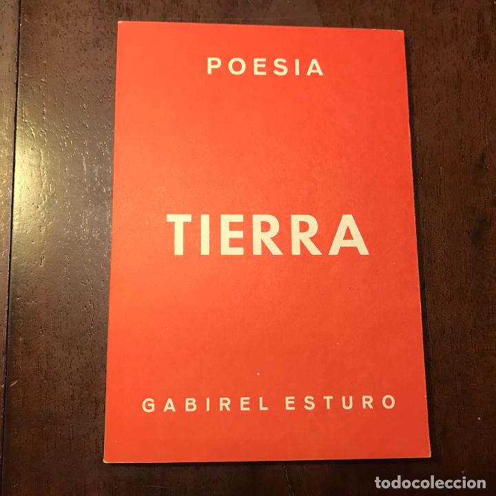 Libros: Tierra - Gabriel Esturo - Foto 1