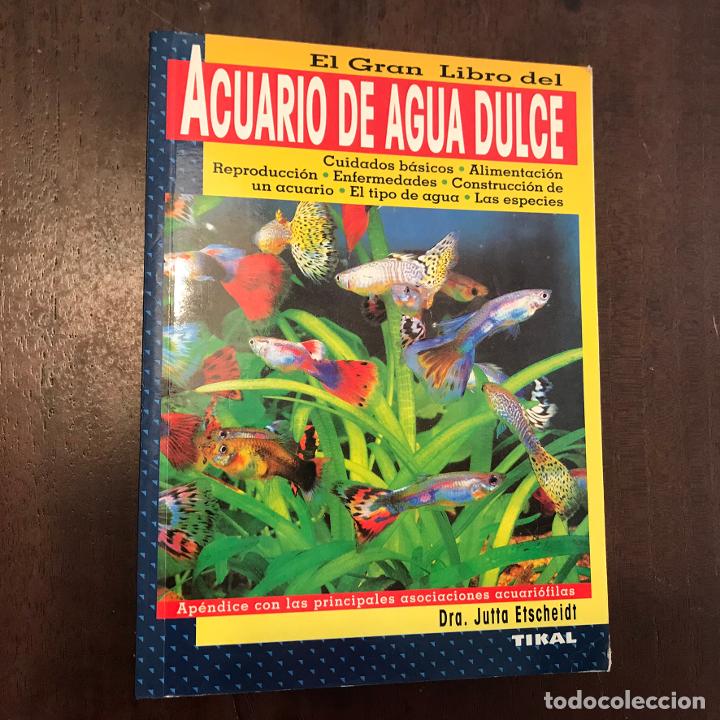 Libros: Acuario de agua dulce - Jutta Etscheidt - Foto 1