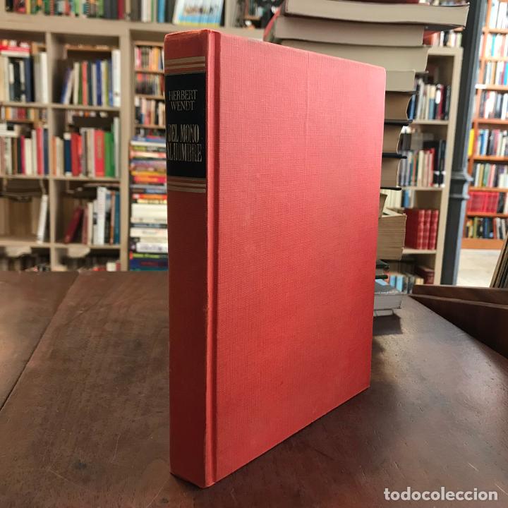 Libros: Del mono al hombre - Herbert Wendt - Foto 1