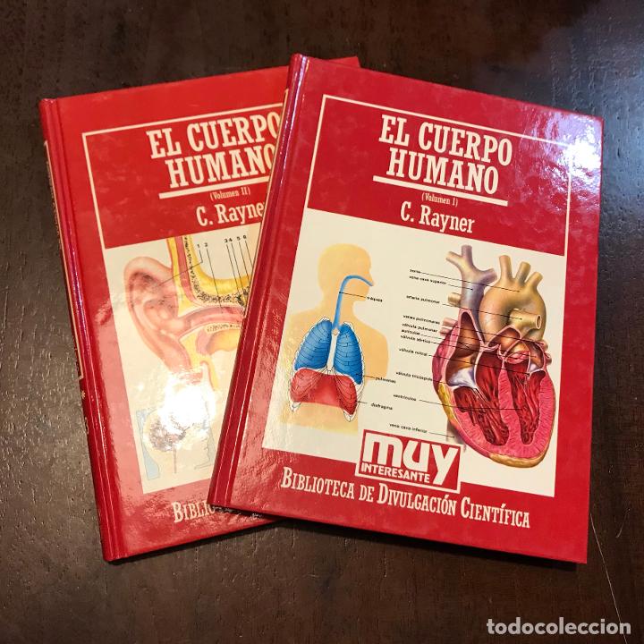Libros: El cuerpo humano. 2 vol - C. Rayner - Foto 1