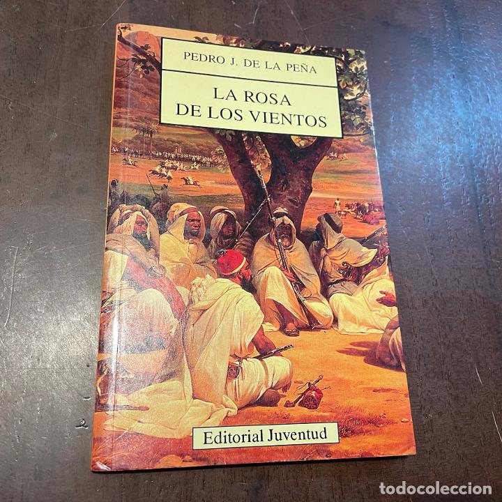 Libros: La rosa de los vientos - Pedro J. de la Pe&ntilde;a - Foto 1