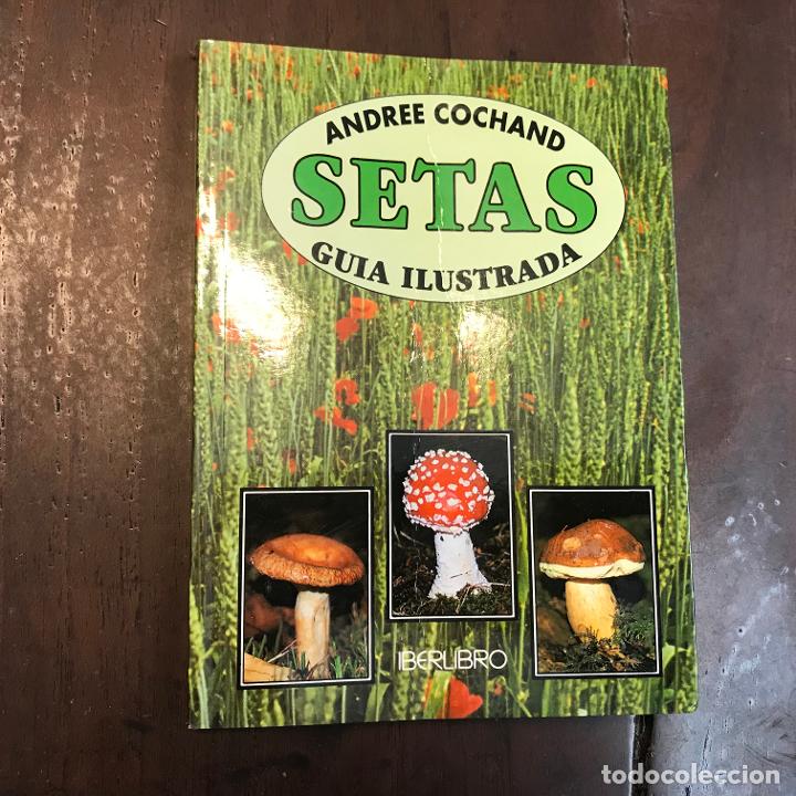 Libros: Setas. Gu&iacute;a ilustrada - Andree Cochand - Foto 1
