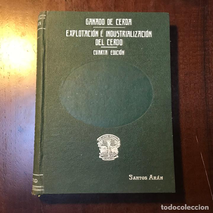 Libros: Explotaci&oacute;n e industrializaci&oacute;n del cerdo. Cuarta edici&oacute;n - Santos Ar&aacute;n - Foto 1