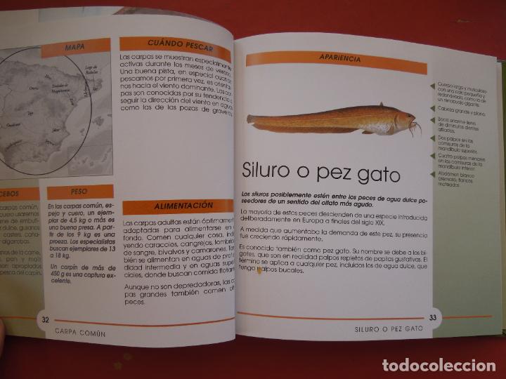 Libros: PESCA - DAVID HOLZER - TIKAL EDICIONES SUSAETA - LIBRO. - Foto 4