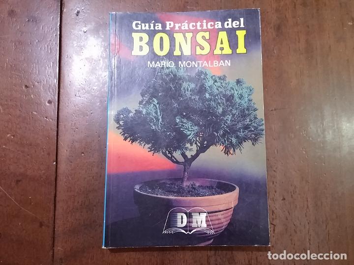 Libros: Gu&iacute;a pr&aacute;ctica del Bonsai - Mario Montalb&aacute;n - Foto 1