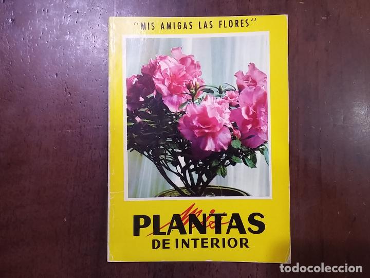 Libros: Mis plantas de interior - Andr&eacute; Bernard - Foto 1