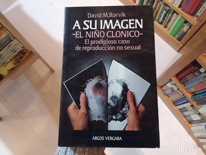 Libros: A su imagen (El ni&ntilde;o cl&oacute;nico) - David M. Rorvik - Foto 1