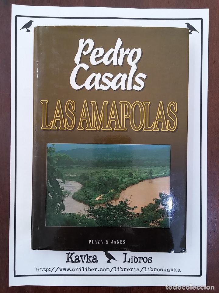 Libros: Las amapolas - Pedro Casals - Foto 1