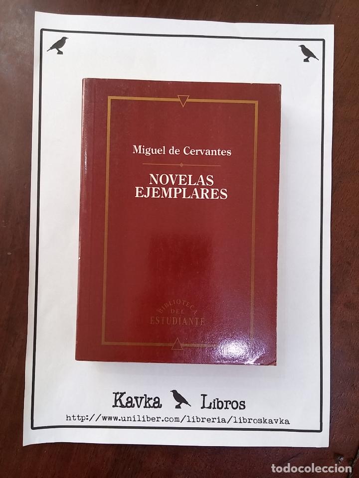 Libros: Novelas ejemplares - Miguel de Cervantes - Foto 1