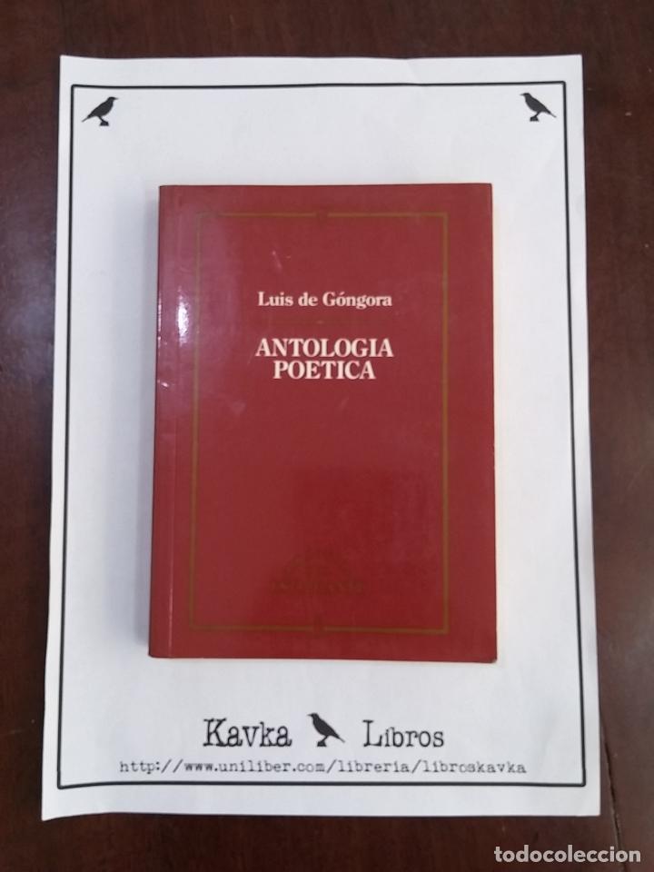 Libros: Antolog&iacute;a po&eacute;tica - Luis de G&oacute;ngora - Foto 1