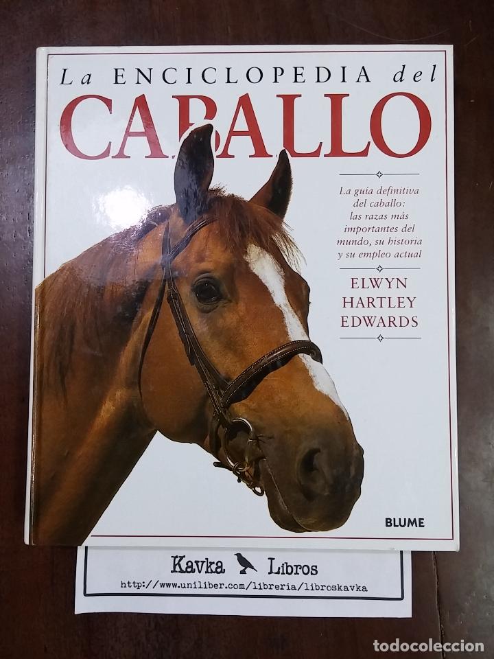 Libros: La enciclopedia del caballo - Elwyn Hartley Edwards - Foto 2