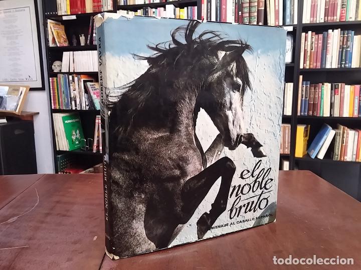 Libros: El noble bruto. Homenaje al caballo espa&ntilde;ol - Robert Vavra - Foto 2