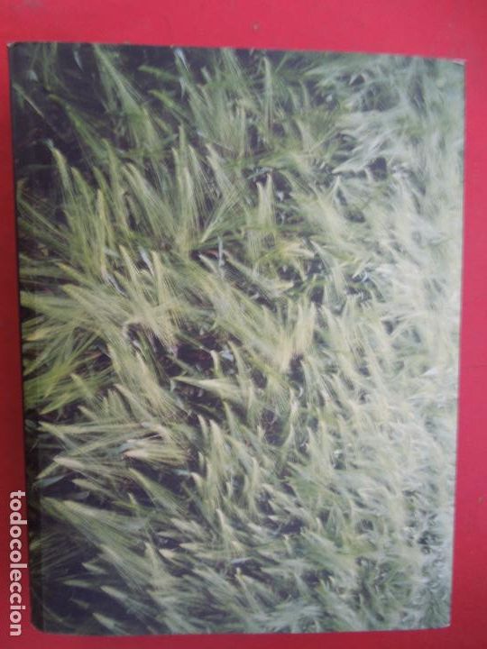 Libros: SE&Ntilde;ALES - LIBRO DE LA PEL&Iacute;CULA - MEL GIBSON - CARTOON NETWORK 2002. - Foto 7
