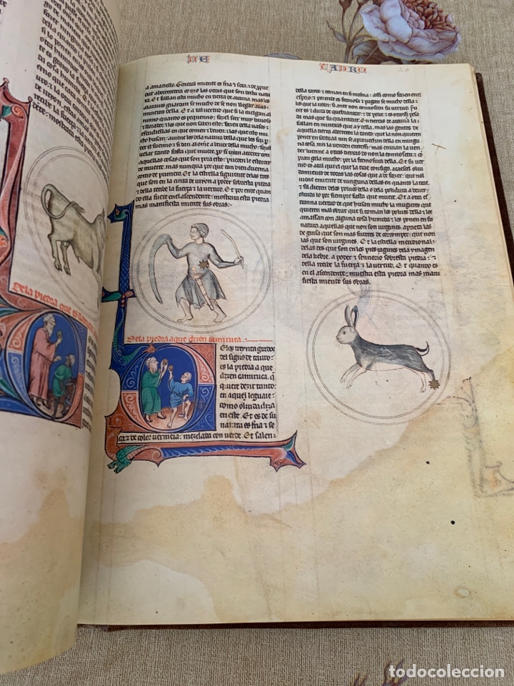Libros: Primer lapidario del rey Alfonso X el Sabio. Edici&oacute;n facs&iacute;mil. - Foto 13