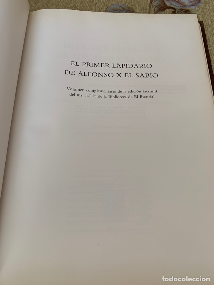 Libros: Primer lapidario del rey Alfonso X el Sabio. Edici&oacute;n facs&iacute;mil. - Foto 17