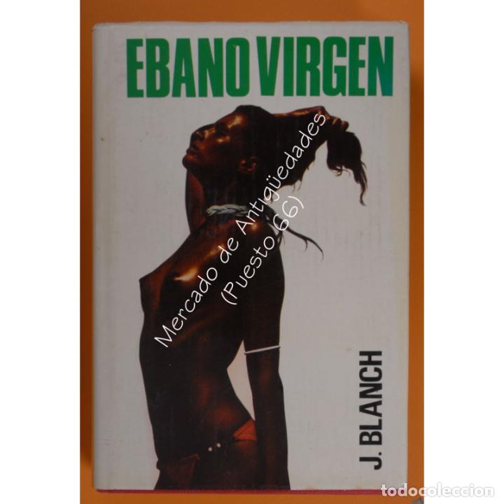 Libros: &Eacute;BANO VIRGEN - J. BLANCH - EDICIONES PETRONIO - 1977 - Foto 1