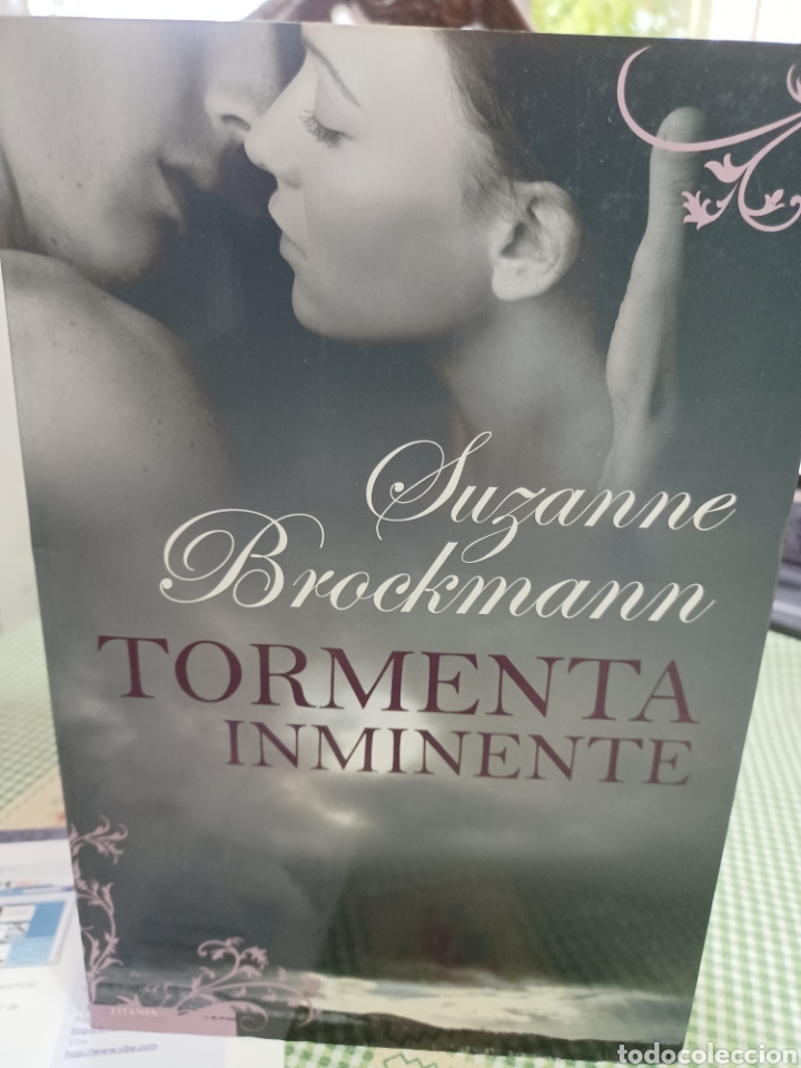 Libros: Barybook C34. Tormenta inminente Suzanne Brockmann - Foto 1