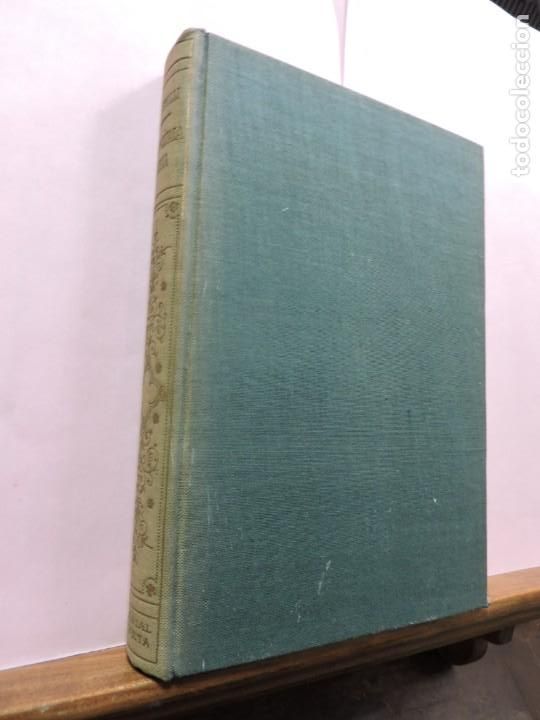 Libros: Dolicoc&eacute;fala Rubia. Pitigrilli, Ed. Planeta. Barcelona 1958 - Foto 1