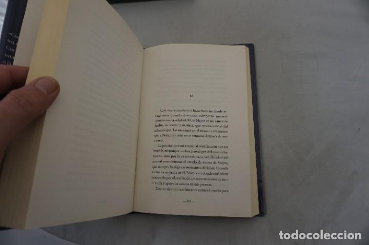 Libros: AR11FG - LOS SABORES PERDIDOS - RAQUEL MARTOS / EDICIONES B - Foto 5
