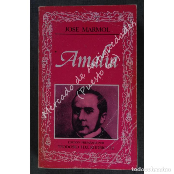 Libros: AMALIA - JOS&Eacute; M&Aacute;RMOL - EDITORA NACIONAL - 1984 - Foto 1