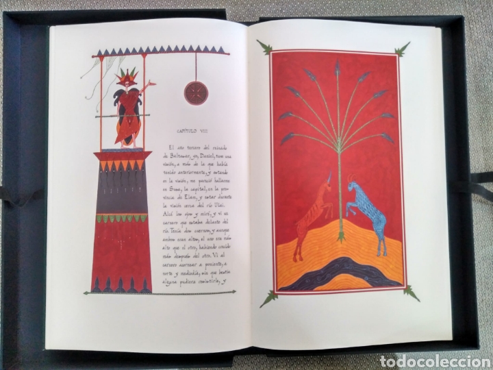 Libros: Libro de Daniel. C&oacute;dice de Alcains. Moleiro - Foto 5