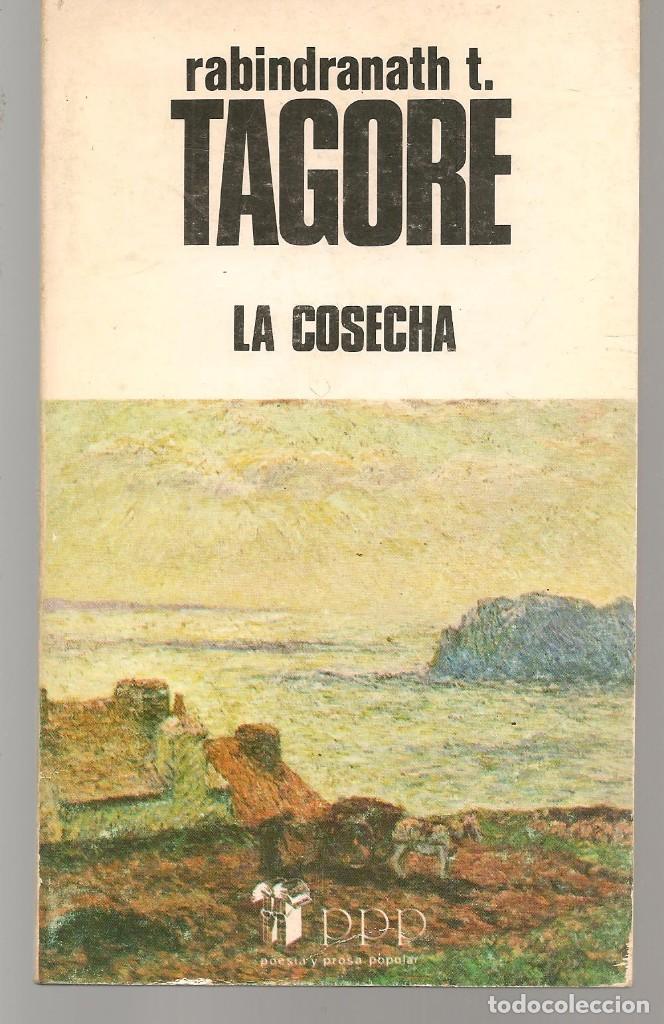 Libros: RABINDRANATH T. TAGORE. LA COSECHA. EDICIONES BUSMA, 1982. (ST/C56) - Foto 1