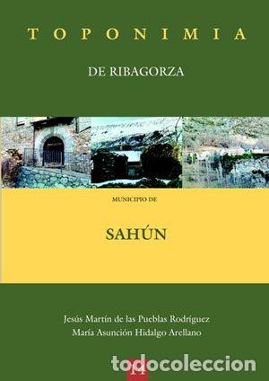 Libros: MUNICIPIO DE SAH&Uacute;N - De las Pueblas/Hidalgo - Foto 1