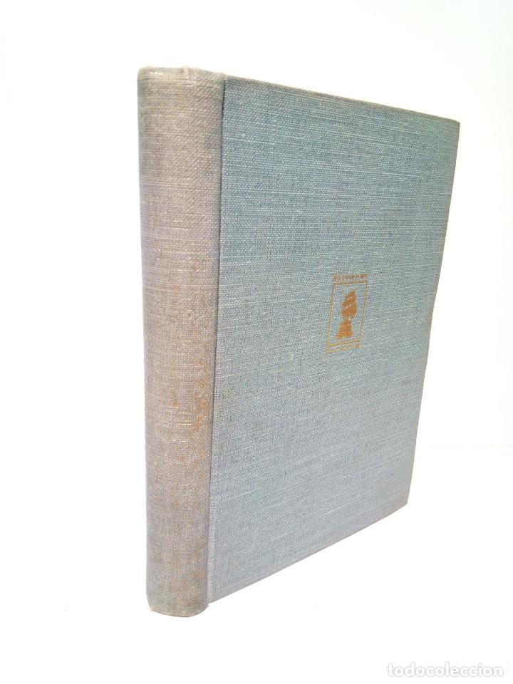 Libros: ALVAREZ, Pedro - Los colegiales de San Marcos - Foto 1