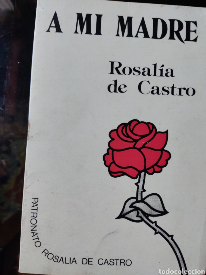 Libros: A m&iacute; madre Rosal&iacute;a de Castro a&ntilde;o 1982 - Foto 1