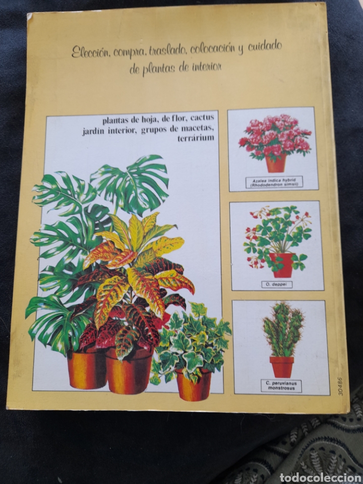 Libros: Plantas de interior.Manual de cultivo y conservaci&oacute;n - Foto 2