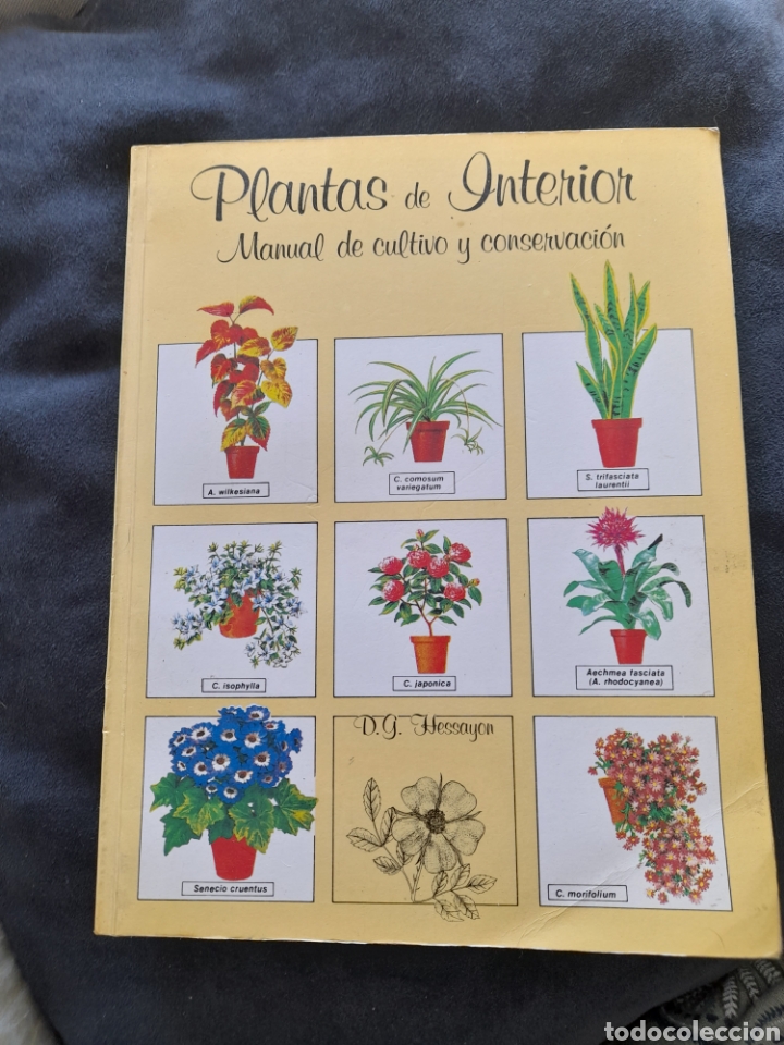 Libros: Plantas de interior.Manual de cultivo y conservaci&oacute;n - Foto 1