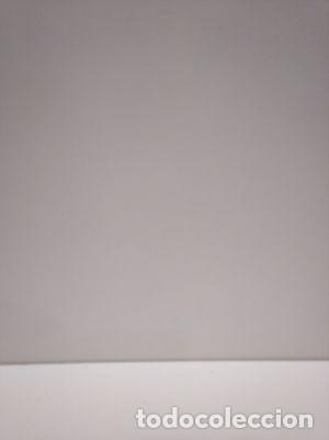 Libros: LA JOVEN DE LA PERLA - CHEVALIER, TRACY - Foto 1