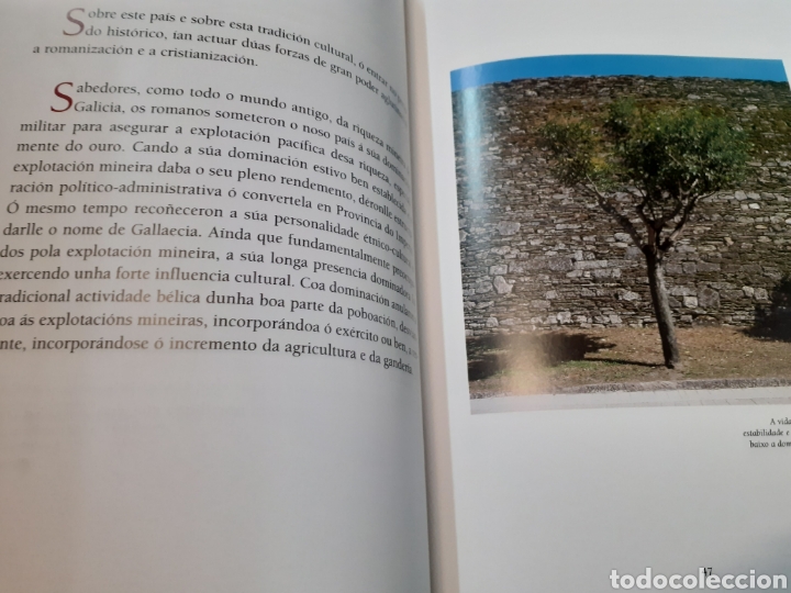 Libros: GALICIA - PI&Ntilde;EIRO,Ram&oacute;n - Foto 3