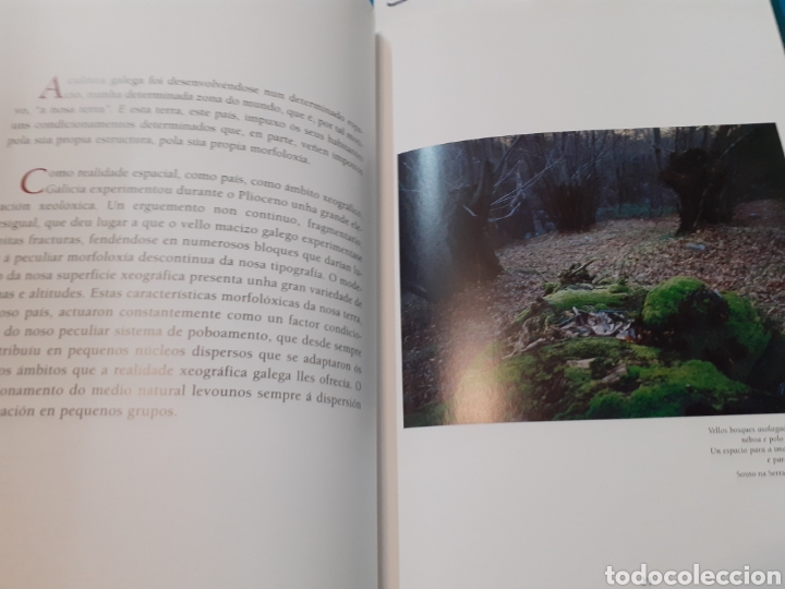 Libros: GALICIA - PI&Ntilde;EIRO,Ram&oacute;n - Foto 4