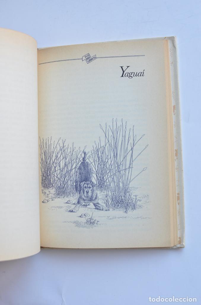 Libros: Cuentos de la Selva - QUIROGA, Horacio - Foto 3