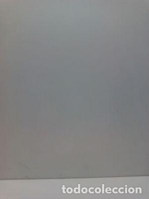Libros: SOLSTICIOS - VIDAL, NURIA - Foto 1